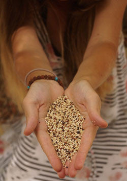 AMAZING GRAINS