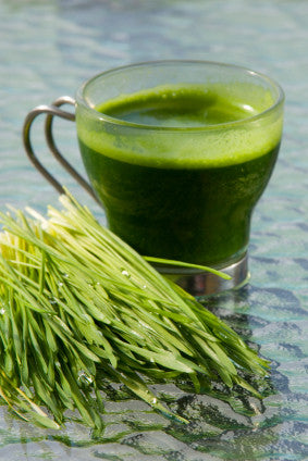 ALKALISE YOUR BODY WITH SUPER GREENS